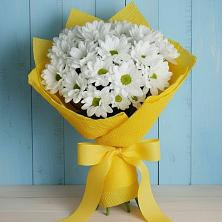 Букет цветов из:  Хризантемы в Дроздово