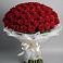 Букет 101 Красная роза Блэк Мэджик в Дроздово