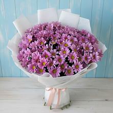 Букет цветов из:  Хризантемы в Дроздово