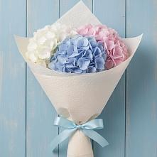 Букет цветов из:  Гортензия в Дроздово