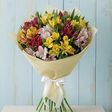 Букет цветов из:  Альстромерии в Дроздово