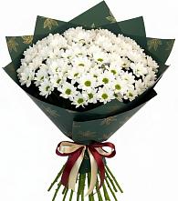 Букет цветов из:  Хризантемы в Дроздово