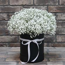 Цветочная композиция из Гипсофила в шляпной коробке в Дроздово