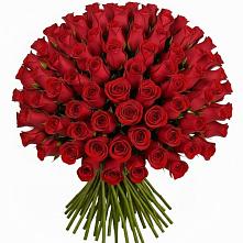 Букет Красные розы Чери Лав в Дроздово