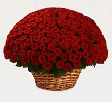 Премиум букет из: Розы в Дроздово